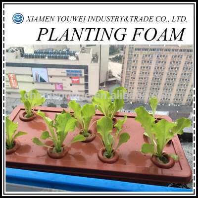 White Floral Foams Brick For Soilless