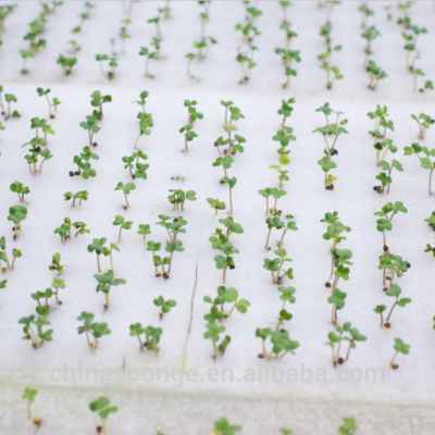 Factory sale colorful hydroponic seedling cultivation foam sheet