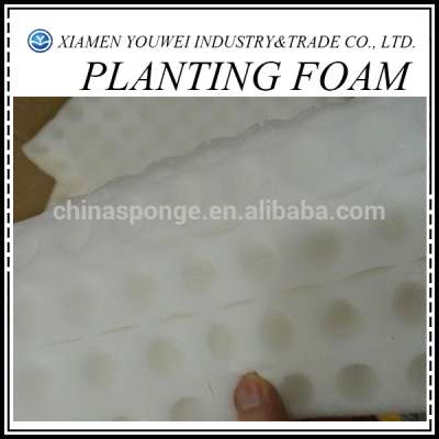 Green Plant Foam/Green Foam For Plants