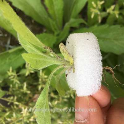 Indoor Vegetable Grow System Hydroponic foam DIY