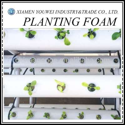 Polyurethane Floral Foam Block Planting Foam/Seeding Foam