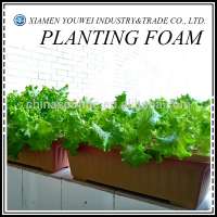 Plant Foam Manufacturing Plant Flower Plant