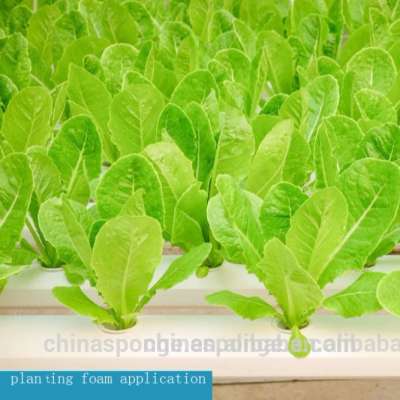 Water Absorbent Polymer Hydroponic Planting Sponge Foam Soilless Cultivation Foam